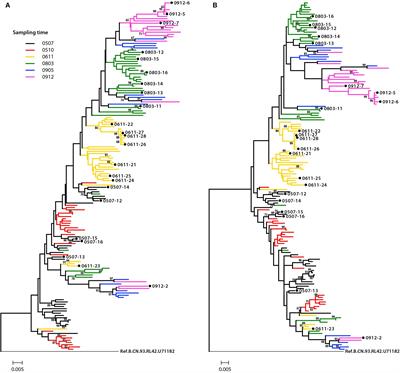 Characteristics of Envelope Genes in a Chinese Chronically HIV-1 Infected Patient With Broadly Neutralizing Activity